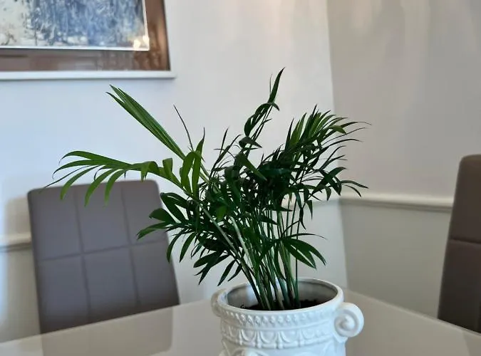 Circo Massimo Sweet - Next To Fao